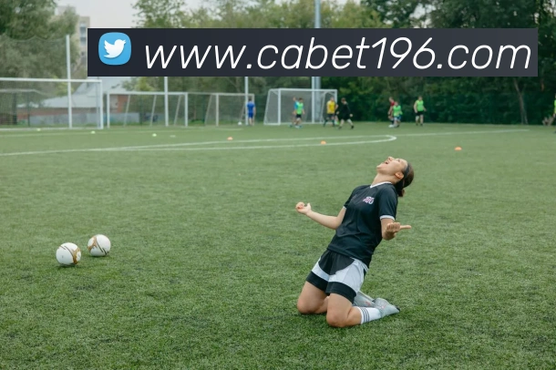 ca亚洲城APP 封面图